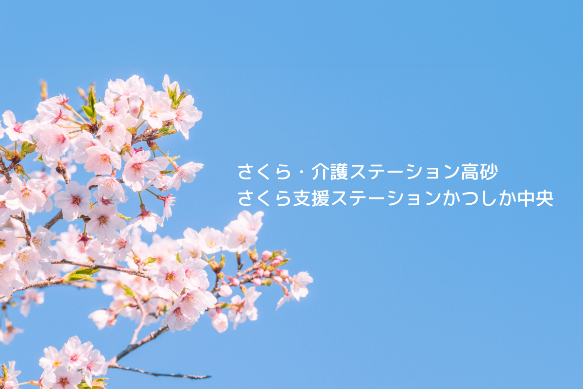 画像：情報公開